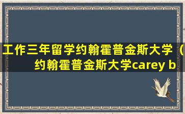 工作三年留学约翰霍普金斯大学（约翰霍普金斯大学carey business）